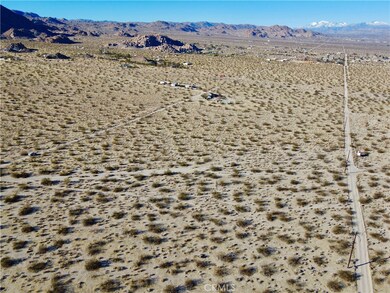 1234 El Rey Ave, Joshua Tree, CA 92252 - photo 4