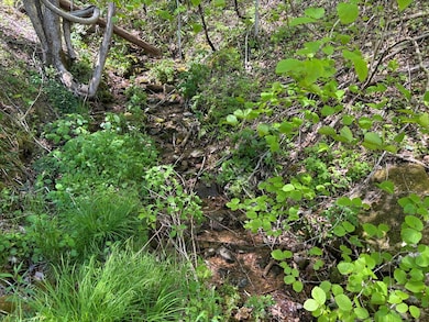 TBD Shell Stand Rd, Robbinsville, NC 28771 - photo 4