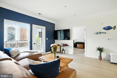 4850 Eisenhower Ave unit 302, Alexandria, VA 22304 - photo 6