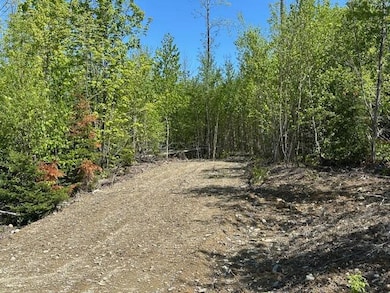 Lot 5 Mt Jefferson Heights, Lee, ME 04455 - photo 2