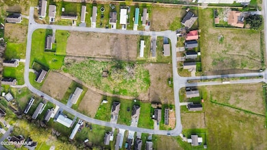 dji_fly_20250113_160804_376_173680621482