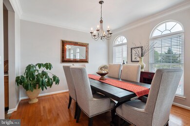 42919 Shelbourne Square, Chantilly, VA 20152 - photo 6