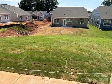 158 Pampas Place unit BF5 131, Statesville, NC 28625 - photo 3