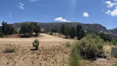 view east