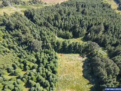 42480 Mount Pleasant Dr, Scio, OR 97374 - photo 2