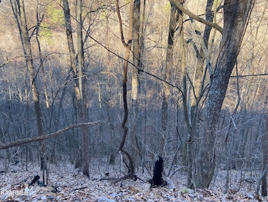 Lot 18 Sugar Maple Loop Rd