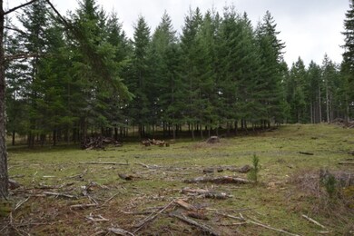 38184 S Hardy Rd, Molalla, OR 97038 - photo 6