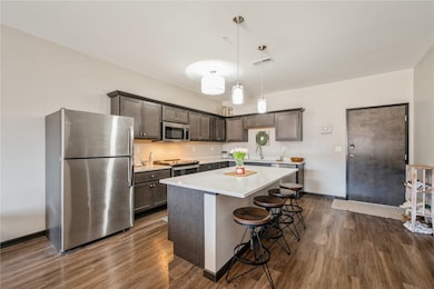 2867 Spring Rose Cir unit 109, Coralville, IA 52241 - photo 5