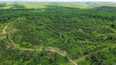 5000 Shady Grove Rd, Shirley, AR 72153 - photo 4