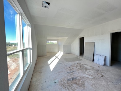 320 Jonny Boy Way, Springtown, TX 76082 - photo 3