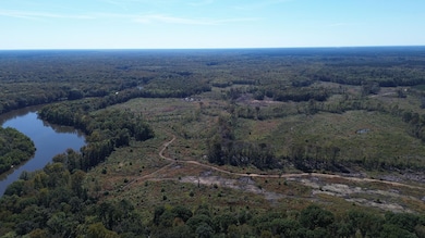 0 Newington Hwy unit 25460796, Sylvania, GA 30467 - photo 6