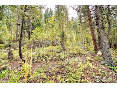 10862 Twin Spruce Rd, Coal Creek Canyon, CO 80403 - photo 2