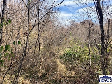 0 W Black Dr unit 108002, Sugar Creek Township, IN 47885 - photo 6