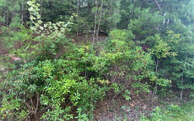 Additional View