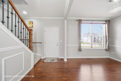 4308 Fraser Cir, Naperville, IL 60564 - photo 6