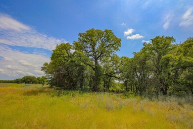 unlisted-address, Bowie, TX 76230 - photo 6