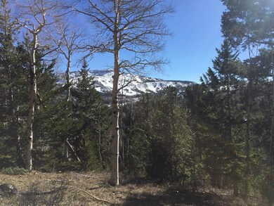 564 W Ski View Dr unit Lot 13 Blk A U C Ski, Brian Head, UT 84719 - photo 5