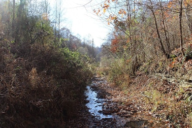 0 Middle Fork Greasy Creek Rd, Boons Camp, KY 41204 - photo 6