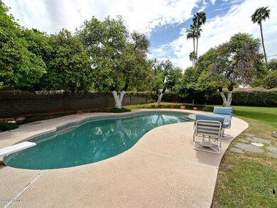 004_Backyard