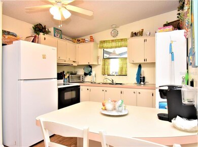 35214 Lindsey Ln, Zephyrhills, FL 33541 - photo 6