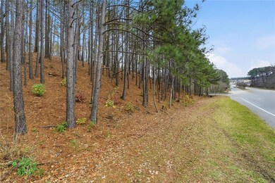 0 Mohawk Trail unit 7688155, Suwanee, GA 30024 - photo 3