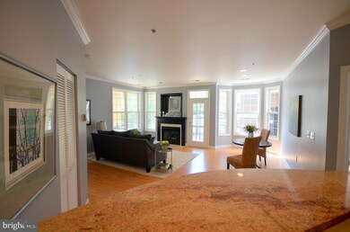 1320 N Wayne St unit 207, Arlington, VA 22201 - photo 6