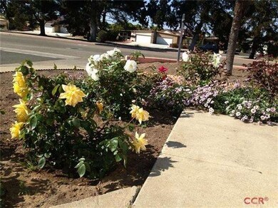 Beautiful roses await your landscaping touches.