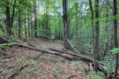 20 Fairgrounds Rd, Plymouth, NH 03264 - photo 5