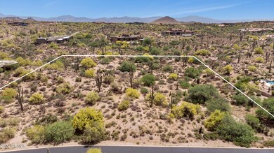 Saguaros and Mountain Views