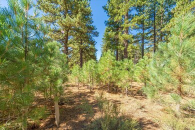 11300 Wolverine Cir, Truckee, CA 96161 - photo 4