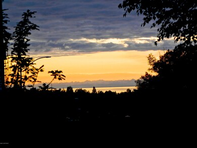 Back yard view