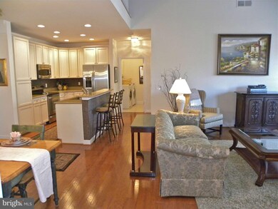 1509 Feral Dae Ln unit 5-303, Annapolis, MD 21409 - photo 6