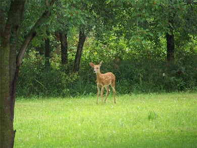1613 Aspen Cir SE, Cedar Rapids, IA 52403 - photo 6