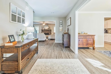 355 Dolly Horn Ln, Chapin, SC 29036 - photo 3