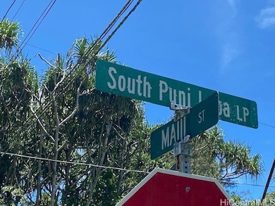 S Puni Lapa Loop, Pahoa, HI 96778 - photo 4