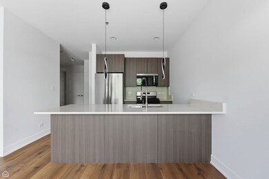 2354 N Washtenaw Ave unit 304, Chicago, IL 60647 - photo 3