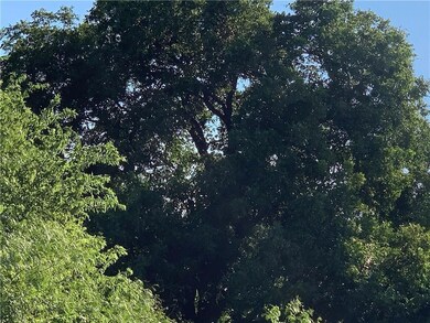 27156 Whispering Meadow, Whitney, TX 76692 - photo 5