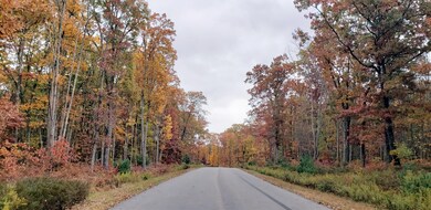 Lot 130 Springwood Dr, Hawley, PA 18428 - photo 2