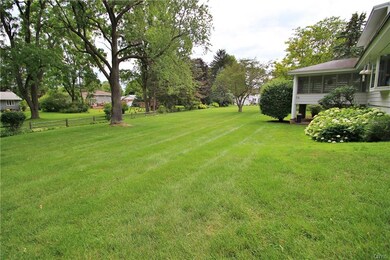Beautiful trees and a perfectly lined fence looks 