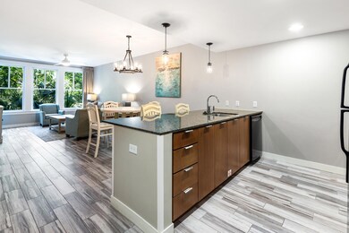 Kitchen and Living