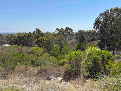 0 Lone Hill Ln, Encinitas, CA 92024 - photo 3