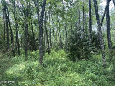 0 Kratz Rd unit PWBPW232303, Honesdale, PA 18431 - photo 4