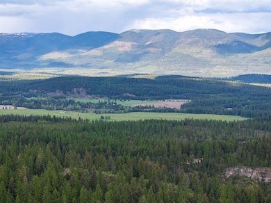 228 Chinook Lake Rd, Whitefish, MT 59937 - photo 4