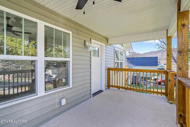 1134 Rider Ave, Knoxville, TN 37917 - photo 5
