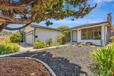 Clean front yard landscape with room for more.