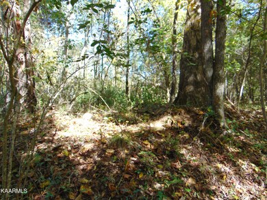DSC01565
