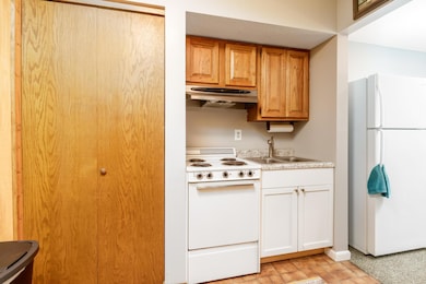 21740 442nd Place unit 234, Aitkin, MN 56431 - photo 5