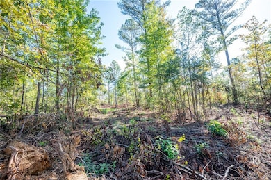 3789 Hwy 140 NE, Rydal, GA 30171 - photo 4