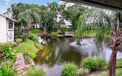 Pond view from the lanai