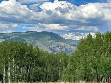 1742 Red Mountain Ranch Rd, Crested Butte, CO 81224 - photo 7
